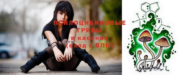 гашик Алзамай