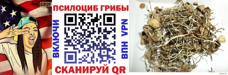 Псилоцибиновые грибы прущие грибы  купить наркоту  Брюховецкая 